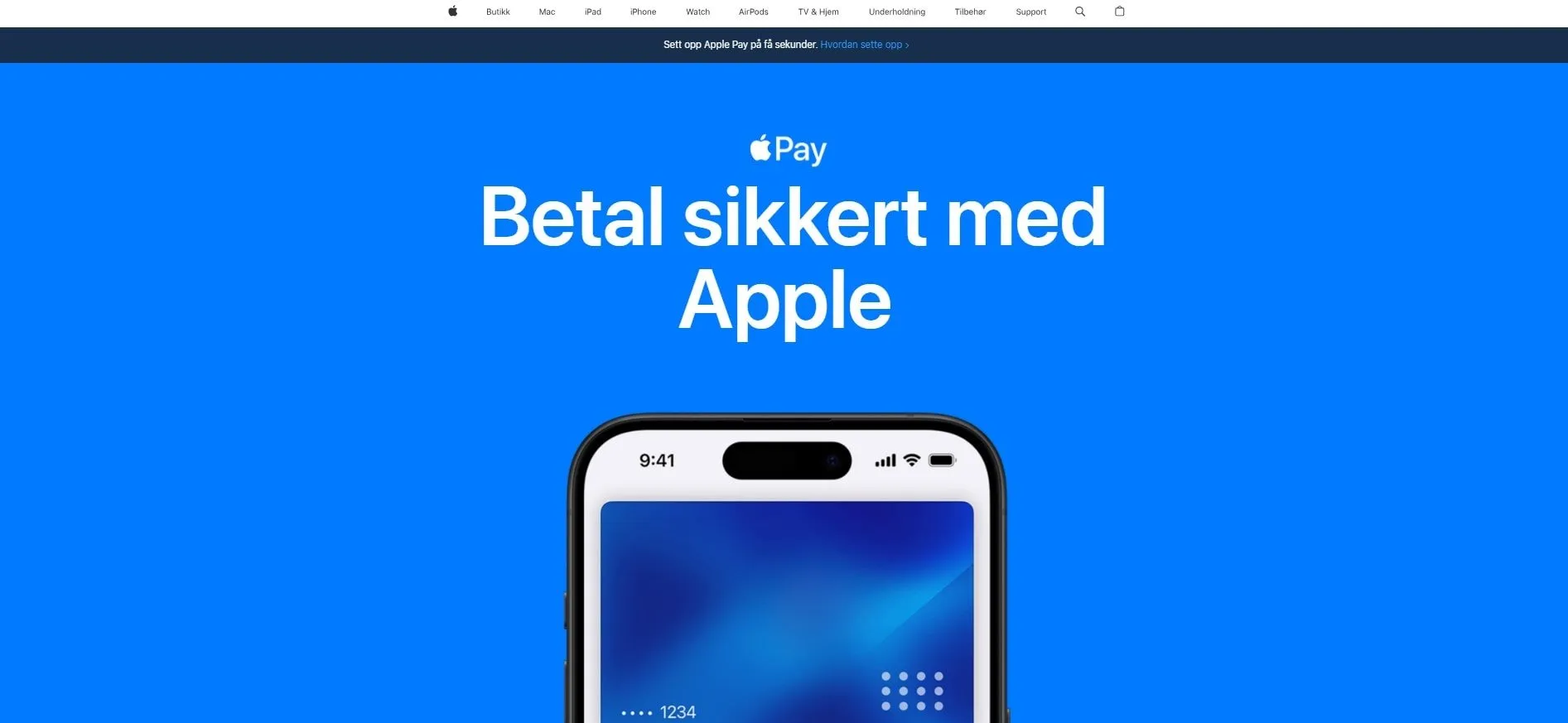 Apple Pay Startseite